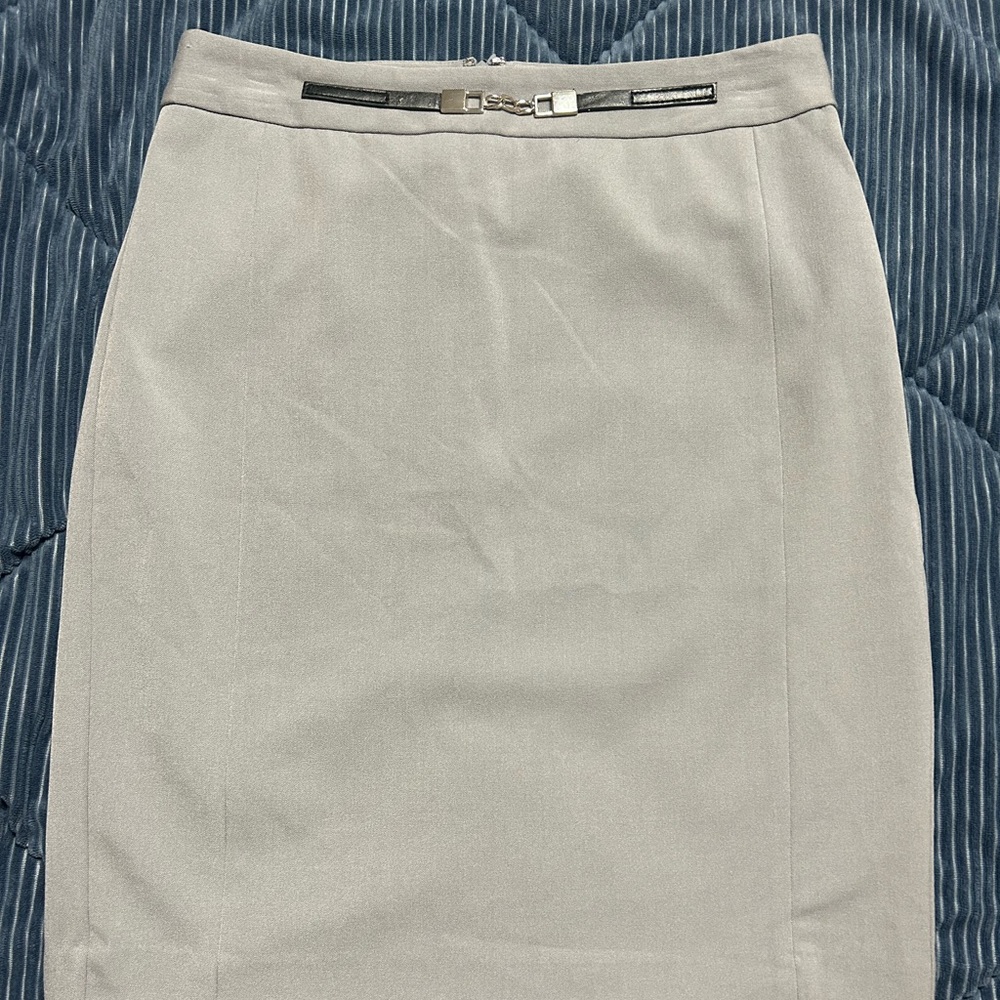 Metaphor Pencil Skirt